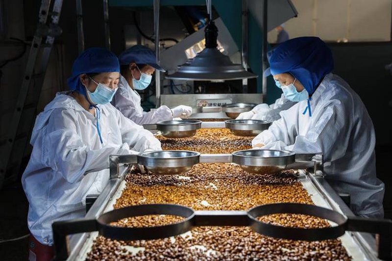 杭州丰元味：让每一份美食都成为味蕾的盛宴